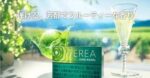 香港TEREA SHINE PEARL青提爆珠IQOS煙彈：圖片 3