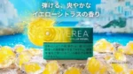 香港 IQOS TEREA STELLAR PEARL柑橘爆珠煙彈:圖片 2